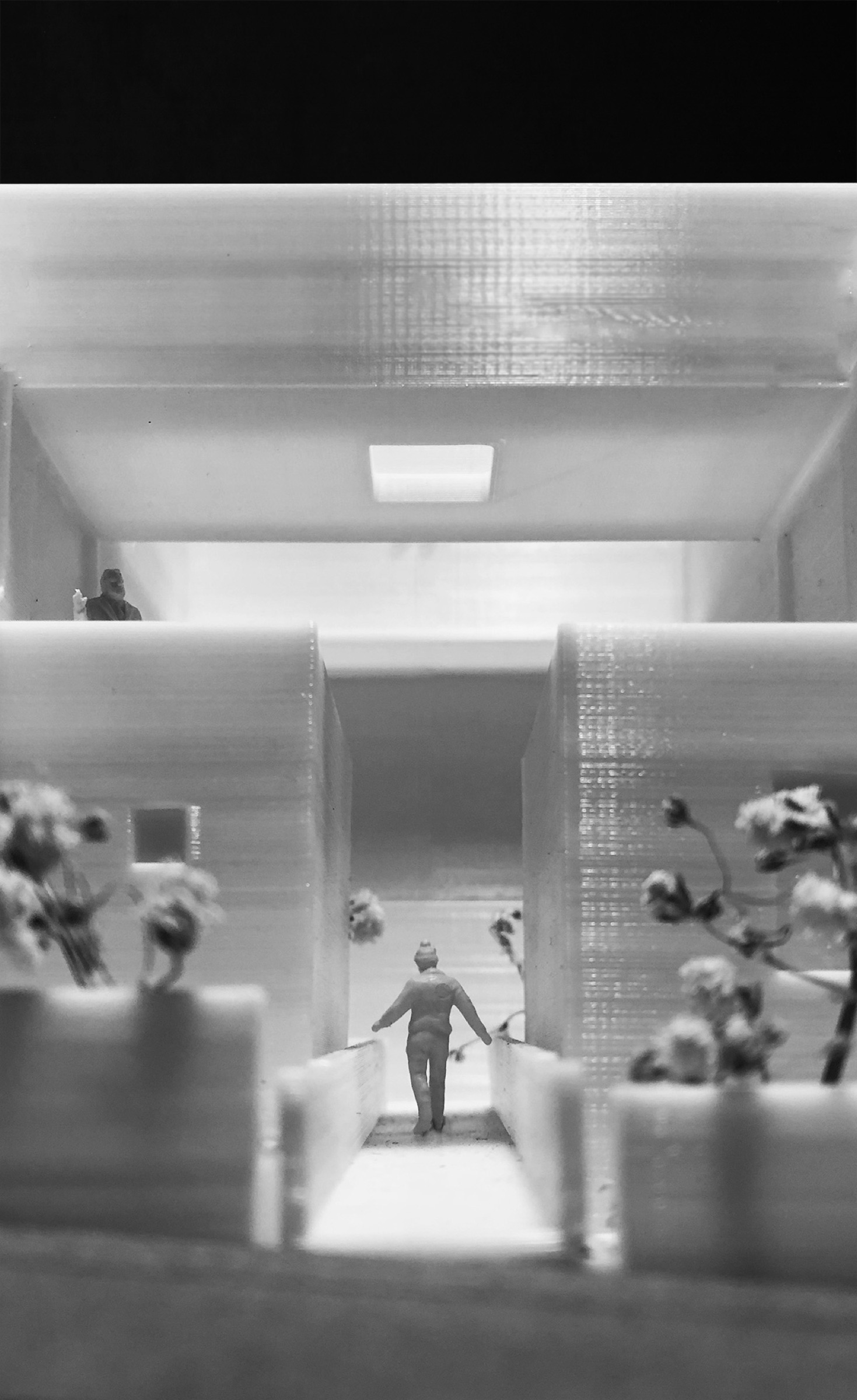 Connected Autonomy – A Home for Two Families, image 7