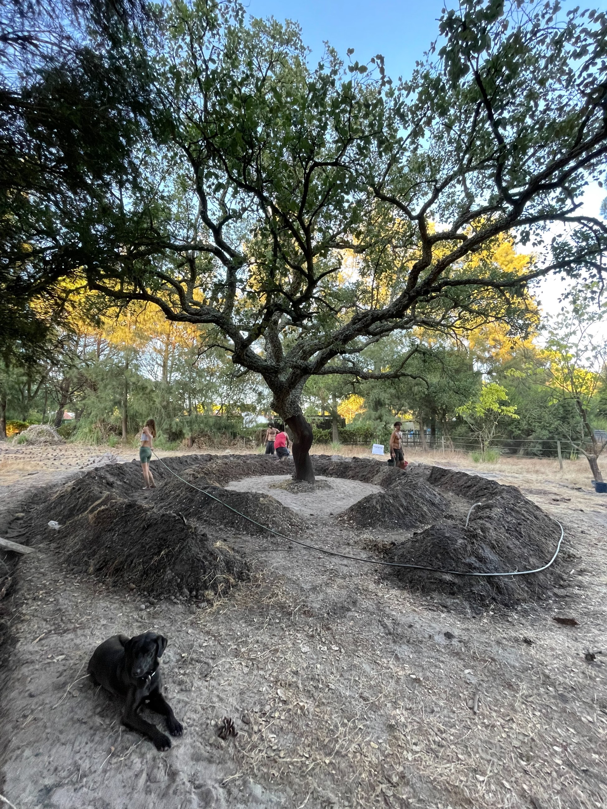 Learning from Permaculture Principles, image 7