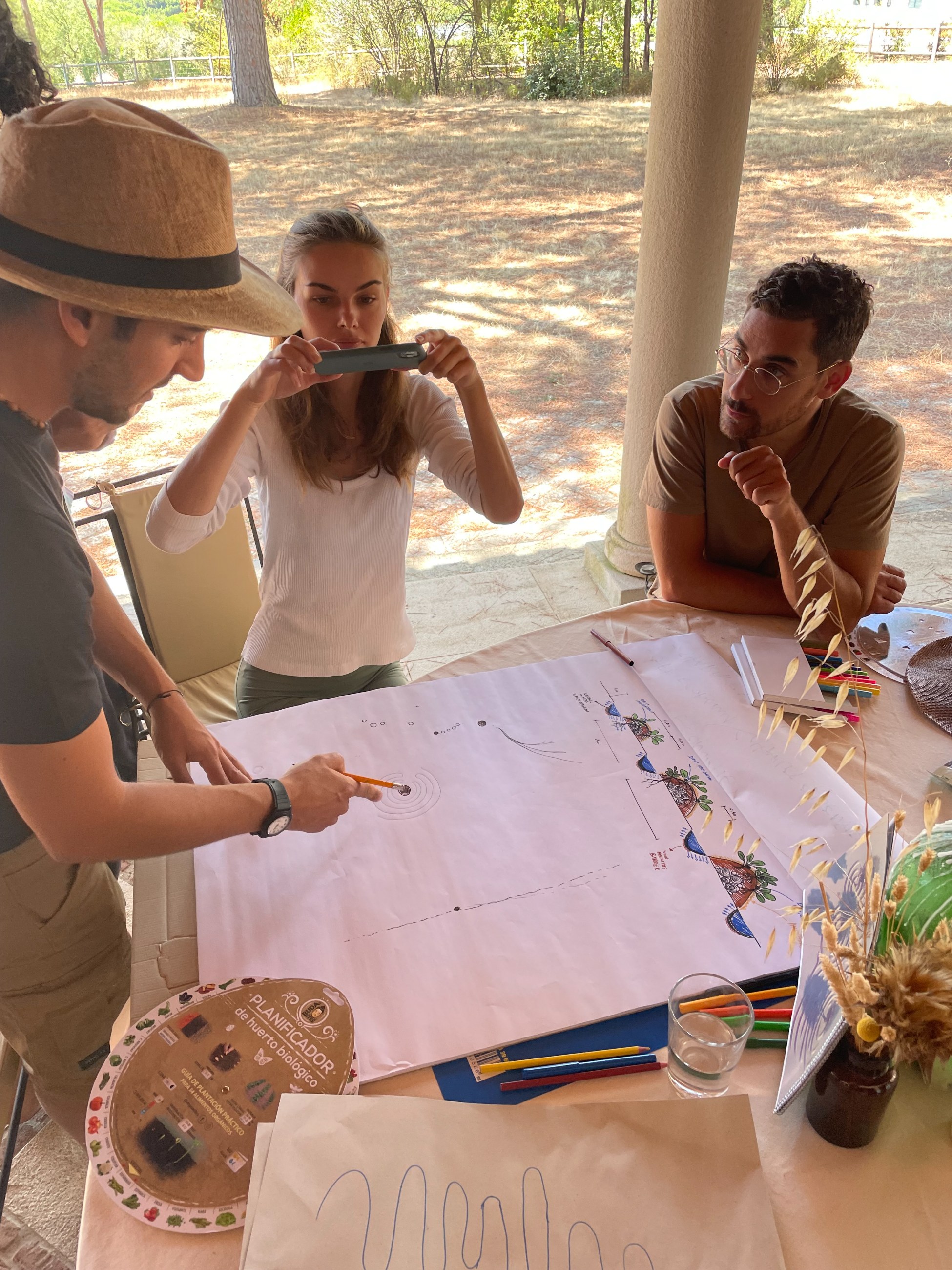 Learning from Permaculture Principles, image 5