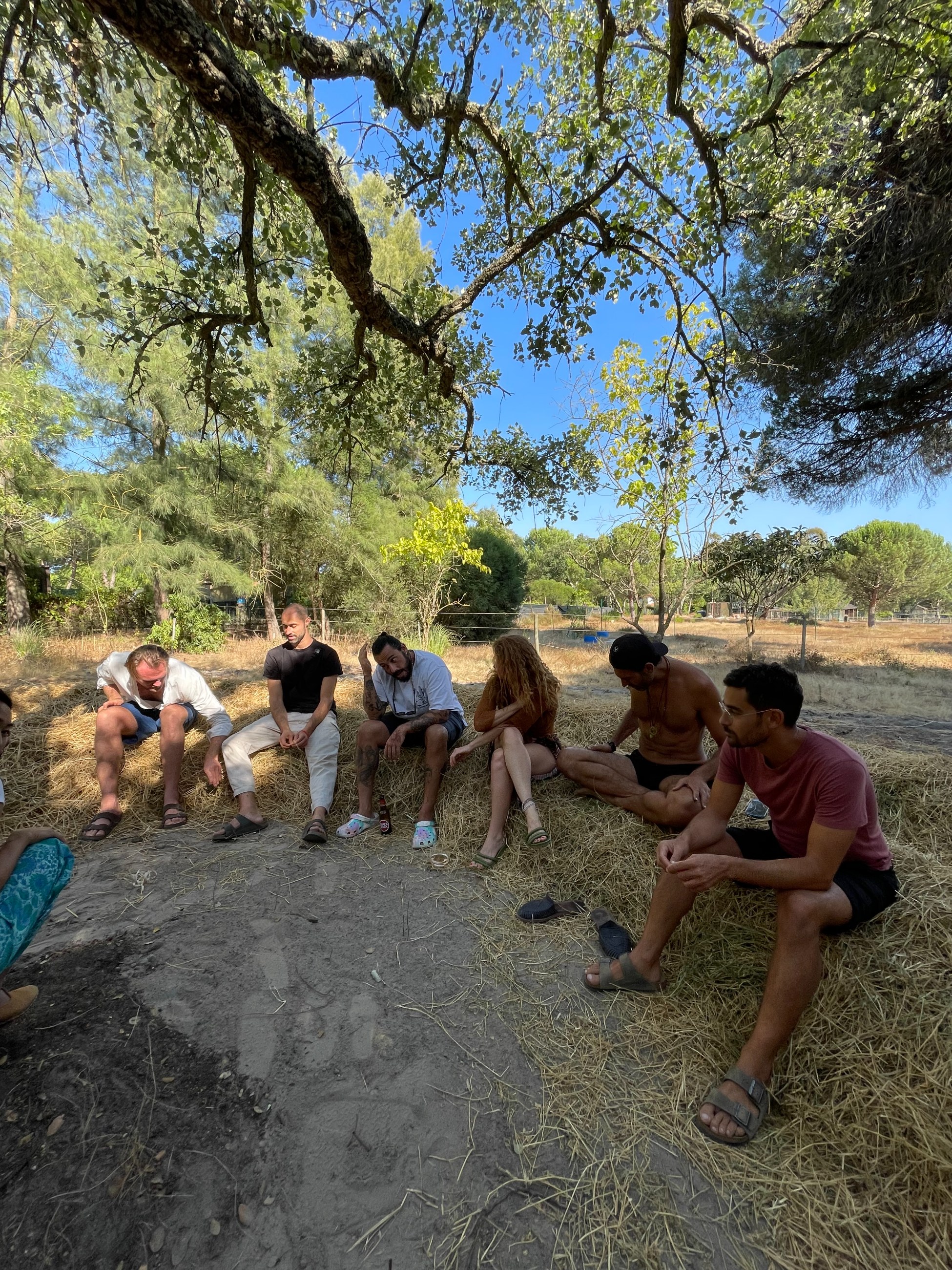 Learning from Permaculture Principles, image 8