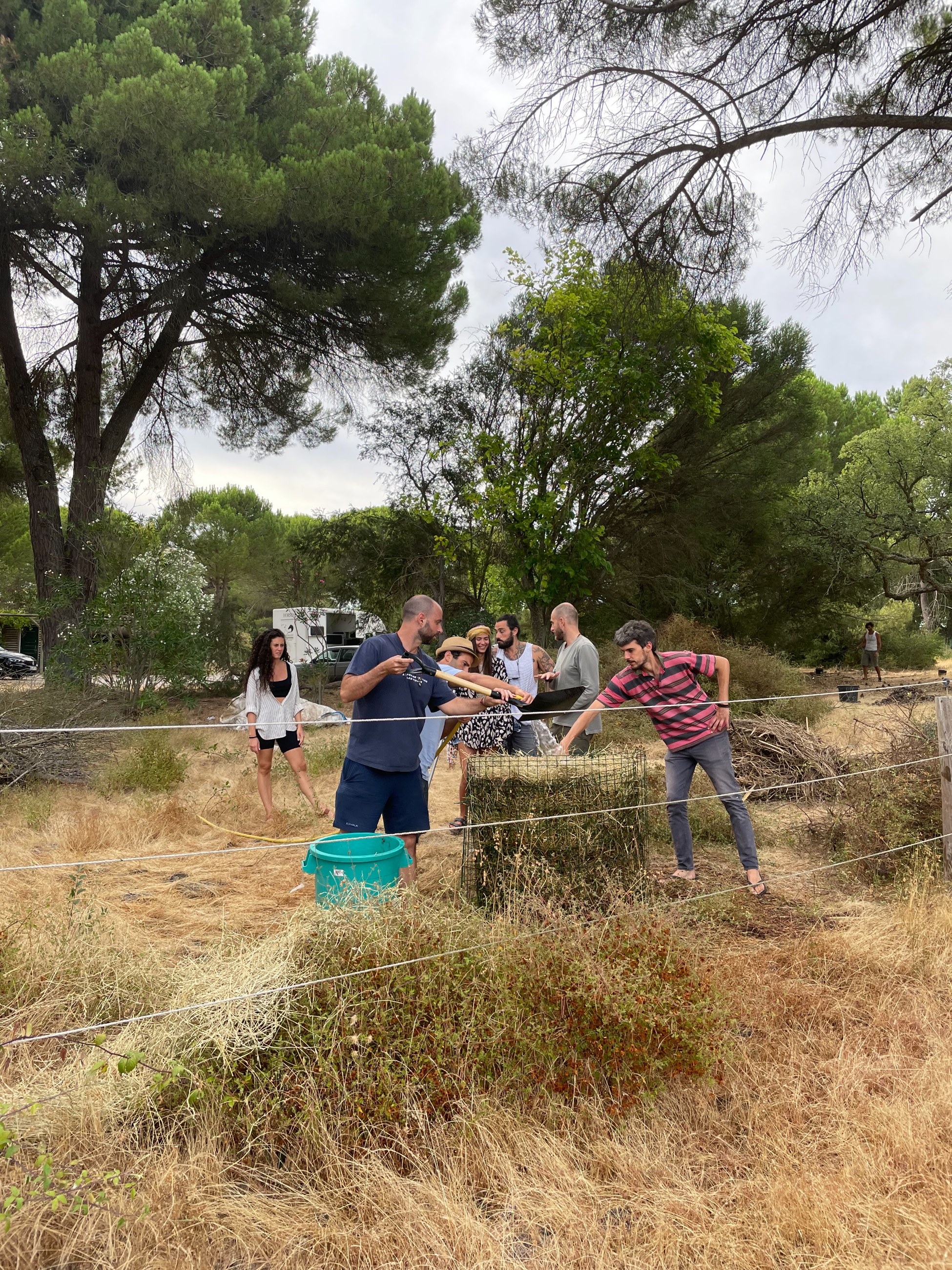 Learning from Permaculture Principles