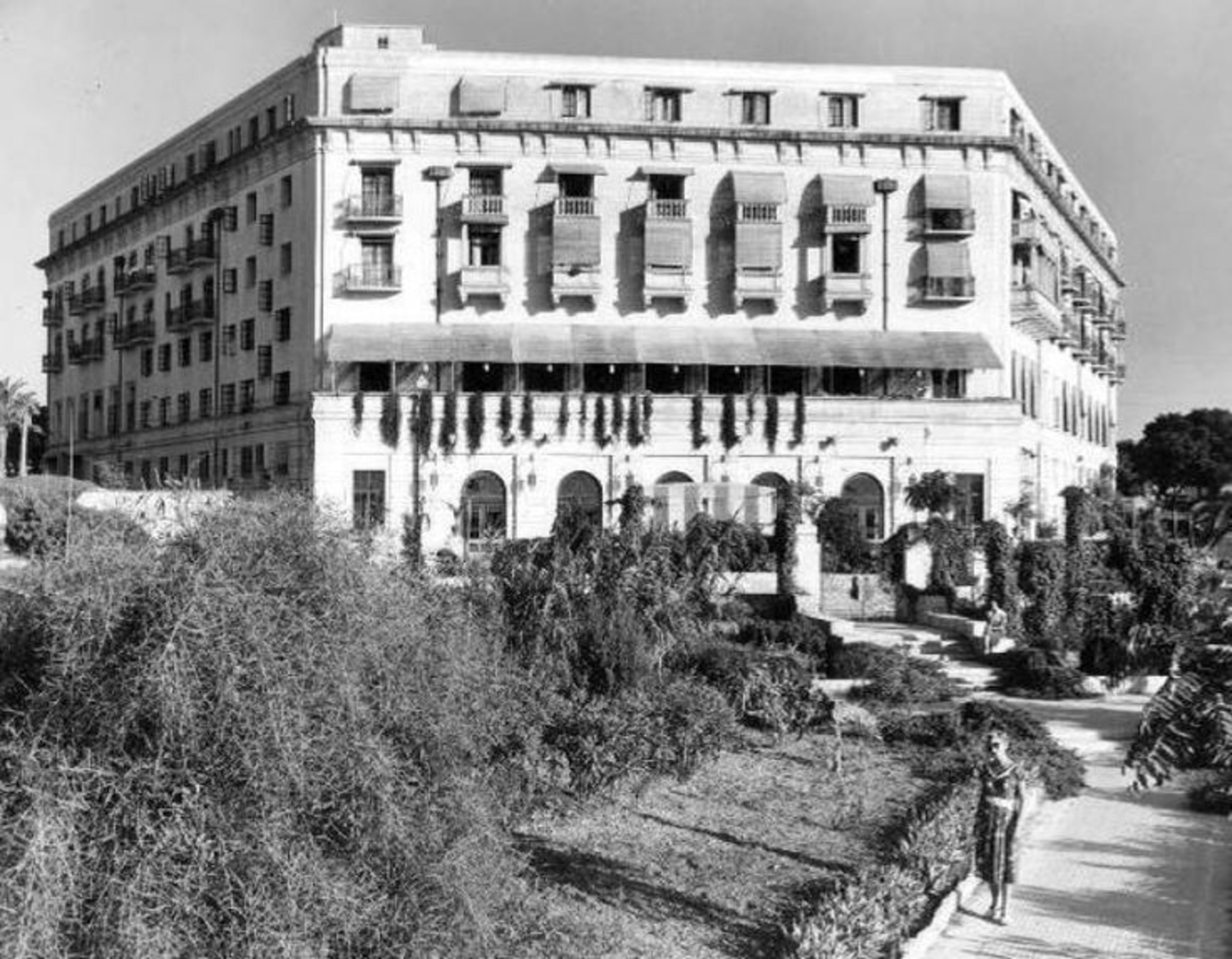 Dean Gera at the Phoenicia, view 13
