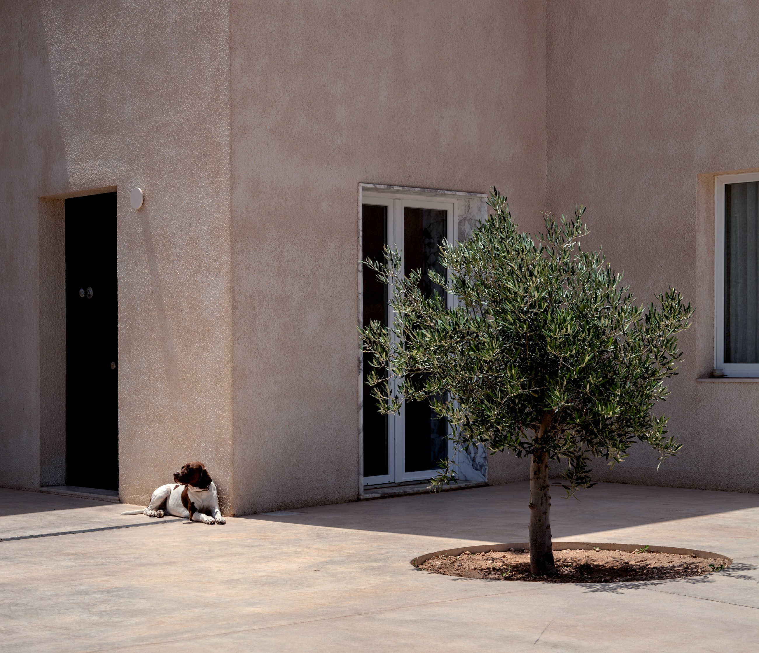 Farmhouse (Studios), view 9