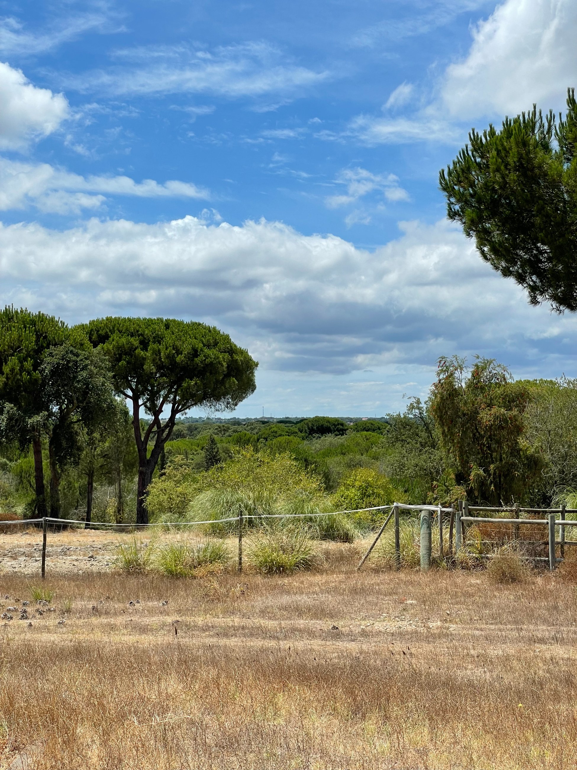 Learning from Permaculture Principles, image 2