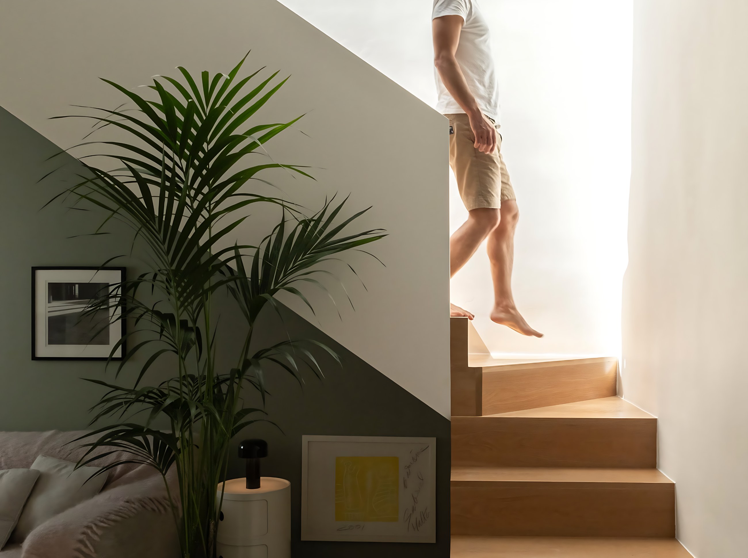Treetop House, view 8