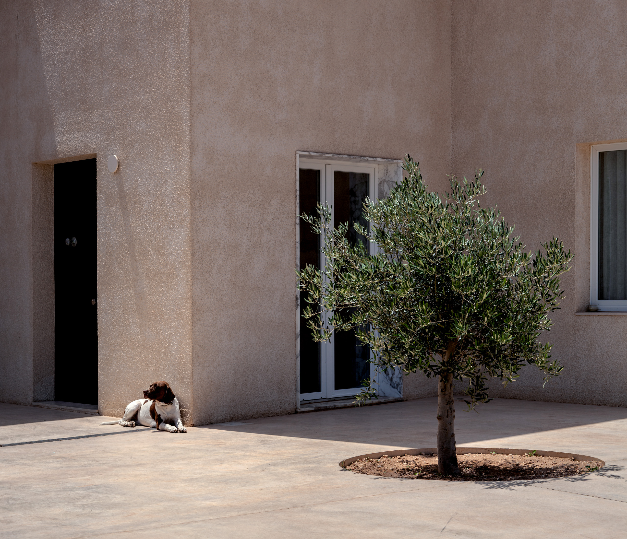 valentino-architects-malta_SIGGIEWI - photos (4) Valentino Architects - Malta - Risette Valletta